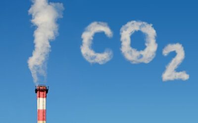 VITELSA promueve la disminución de la emisión de carbono con la creación de espacios híbridos